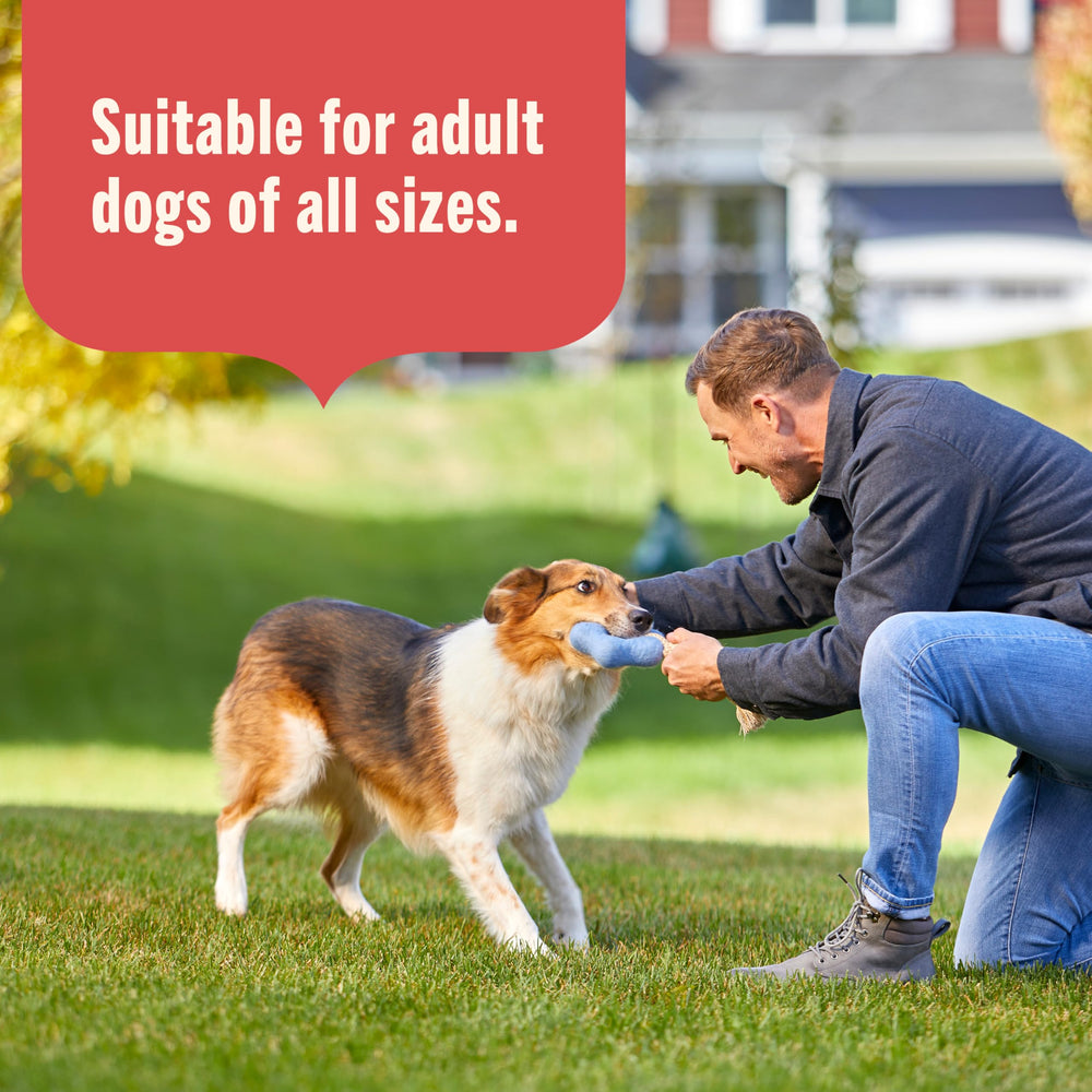 Nutrish image emphasizes no artificial preservatives or flavors for a clean label.