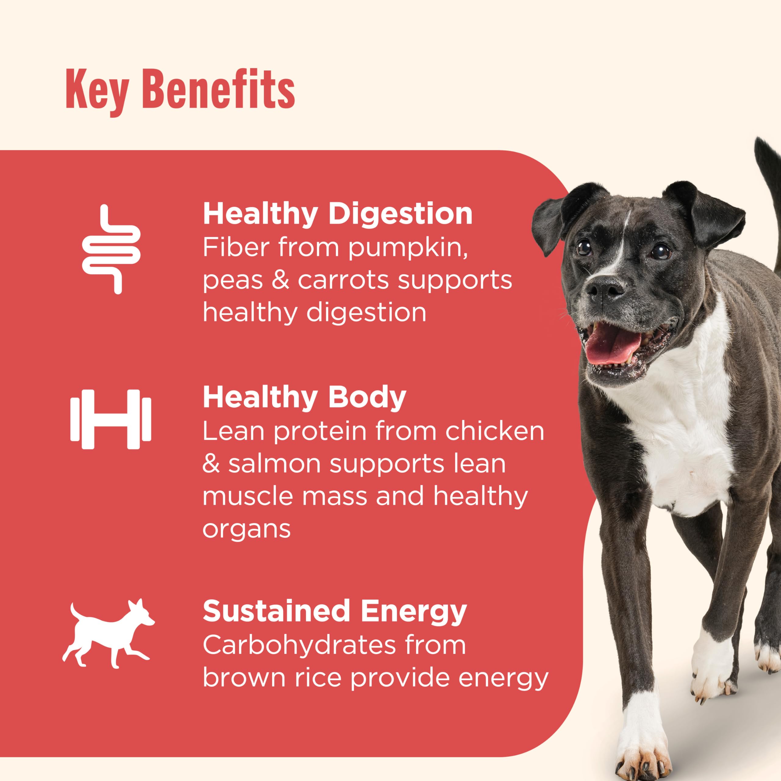Nutrish Gentle Digestion salmon image hints flavor variety with natural ingredients.