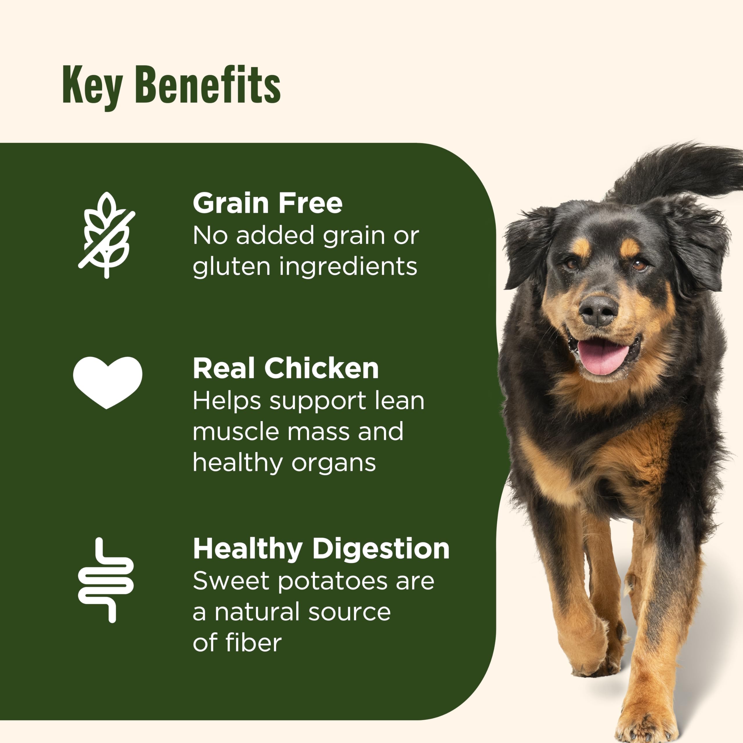 Nutrish kibble texture close-up; crunchy bites for satisfying chews.