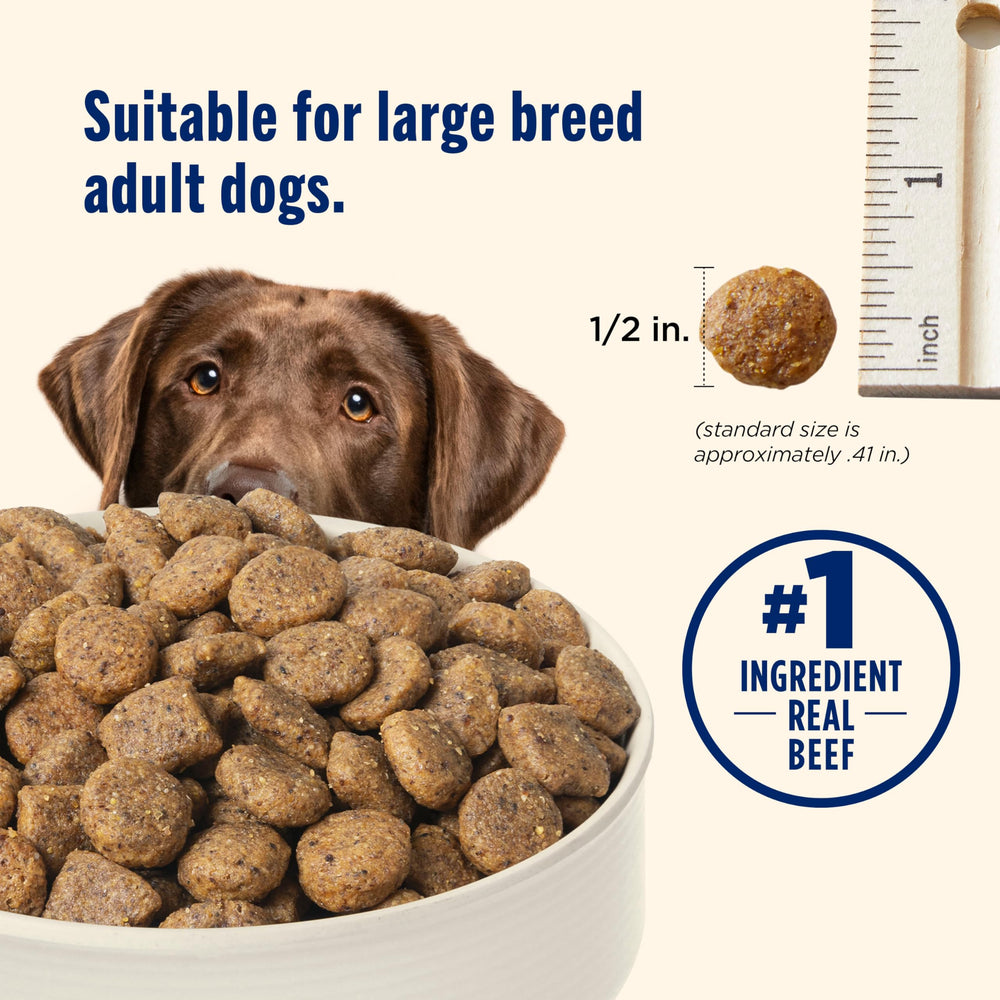 Nutrish Large Breed Whole Health Blend packaging emphasizing balanced nutrition