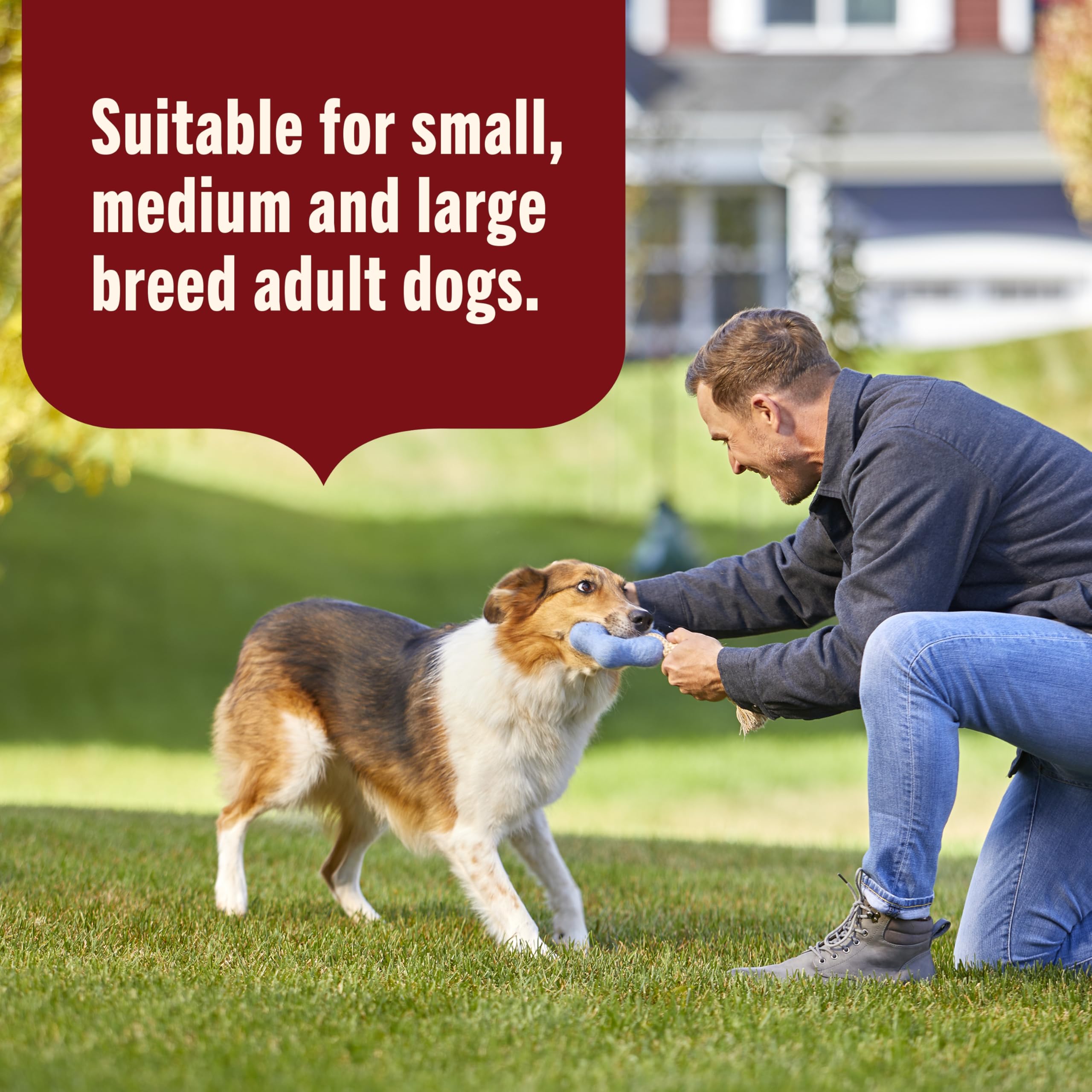Nutrish omega-3 enriched paté supports a healthy coat and vitality.