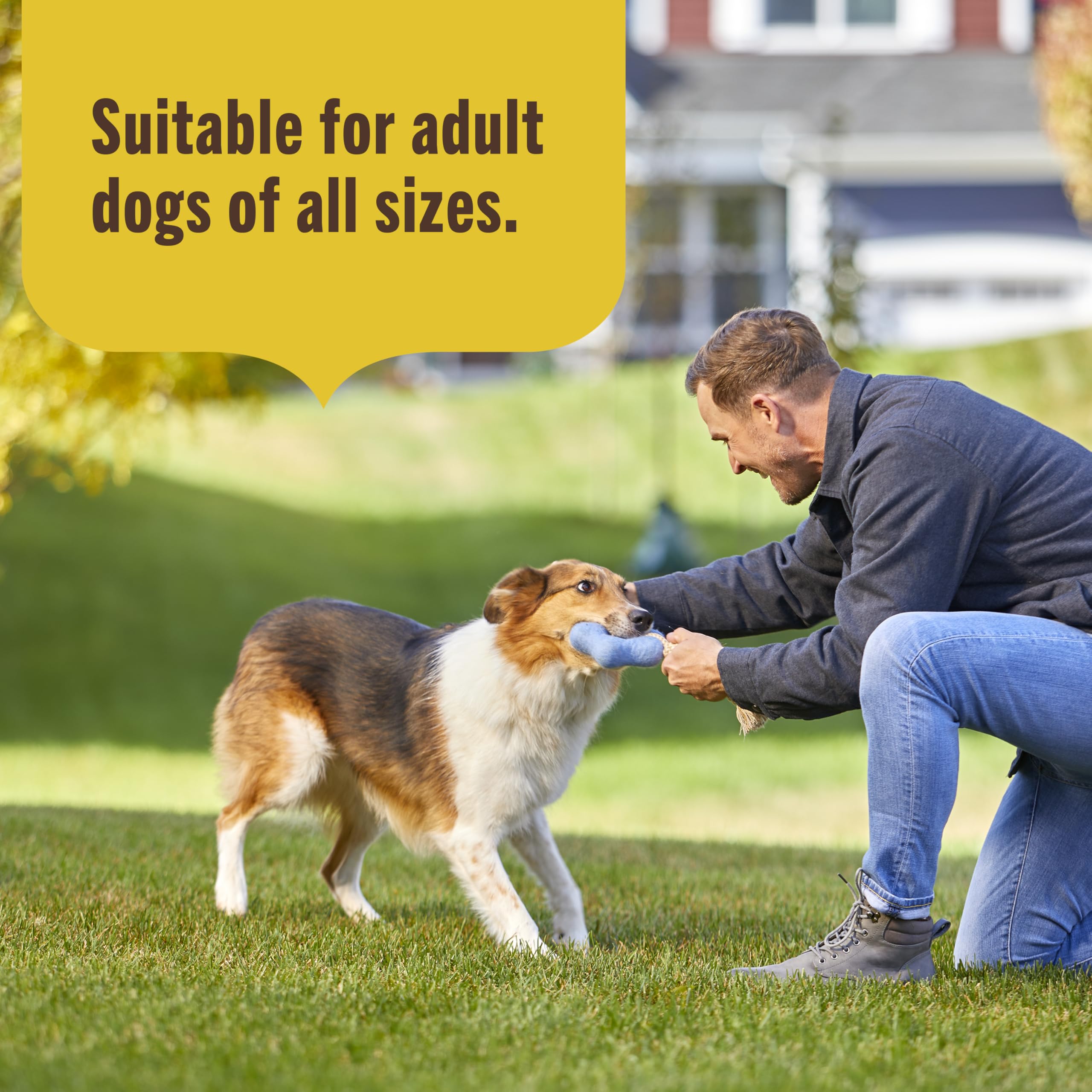 Nutrish product highlights omega-6 from chicken fat for coat support
