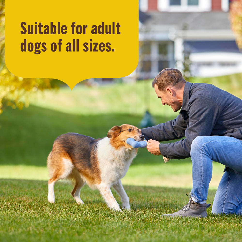 Nutrish product highlights omega-6 from chicken fat for coat support