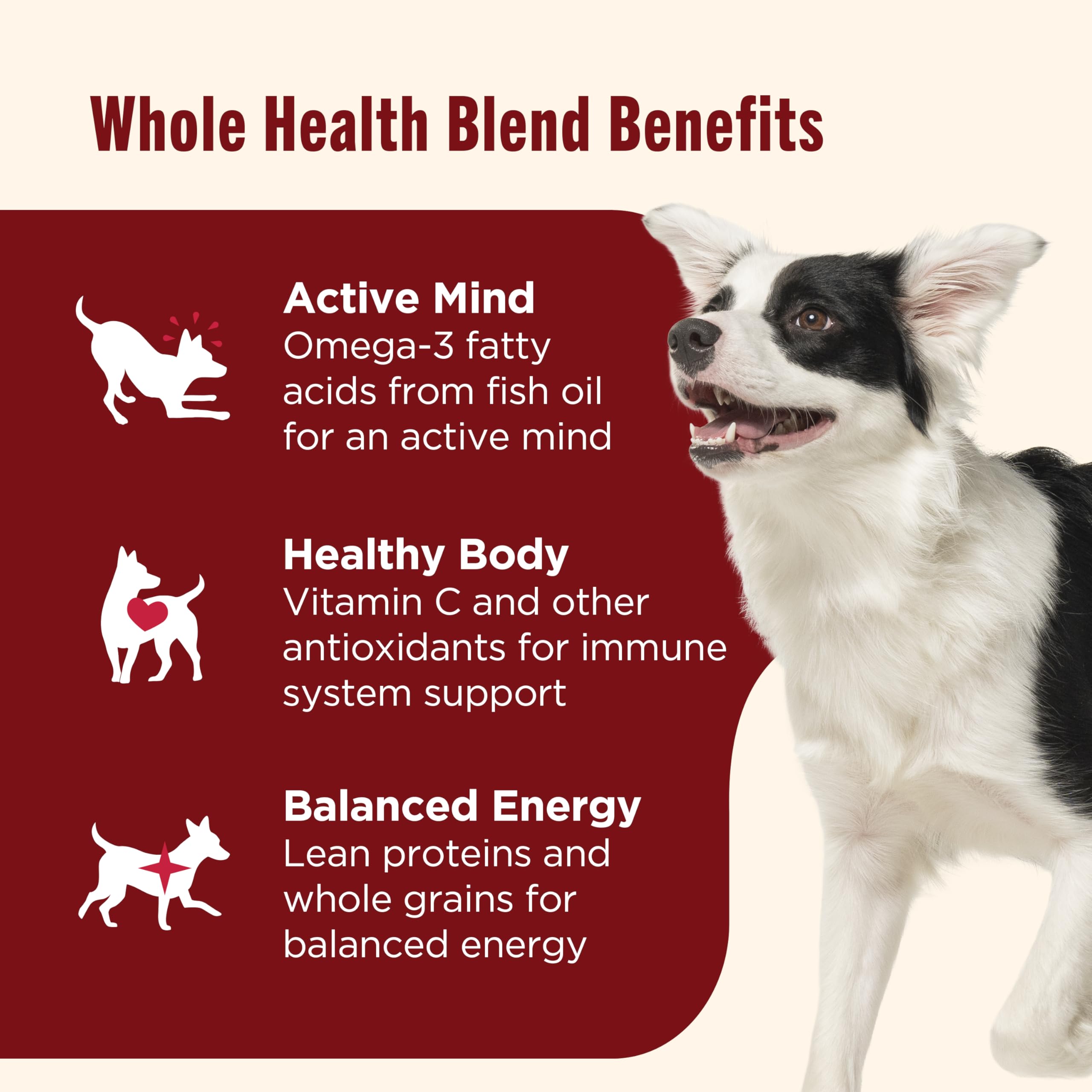 Nutrish pate texture for adult dog meals, rich and appealing.