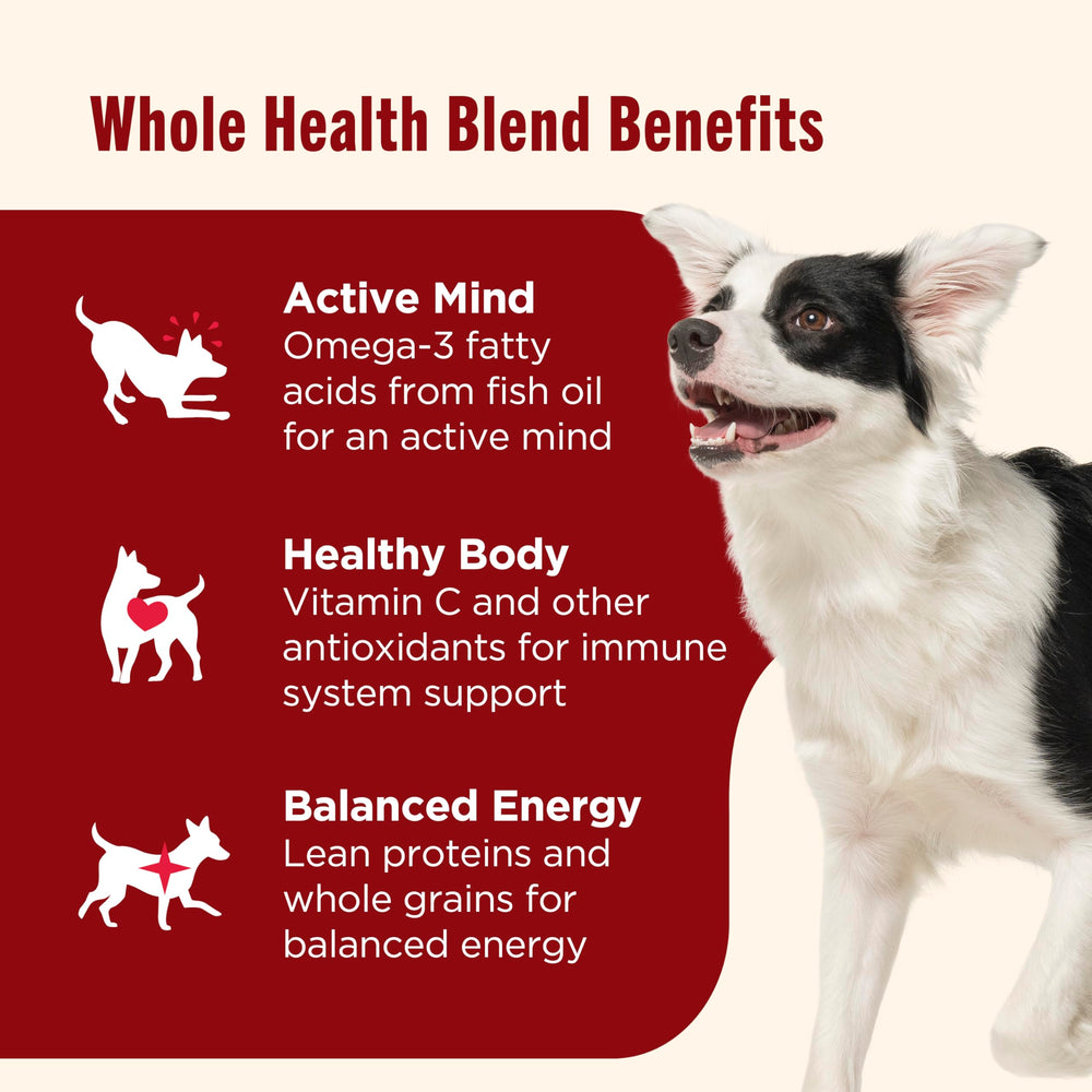 Nutrish pate texture for adult dog meals, rich and appealing.