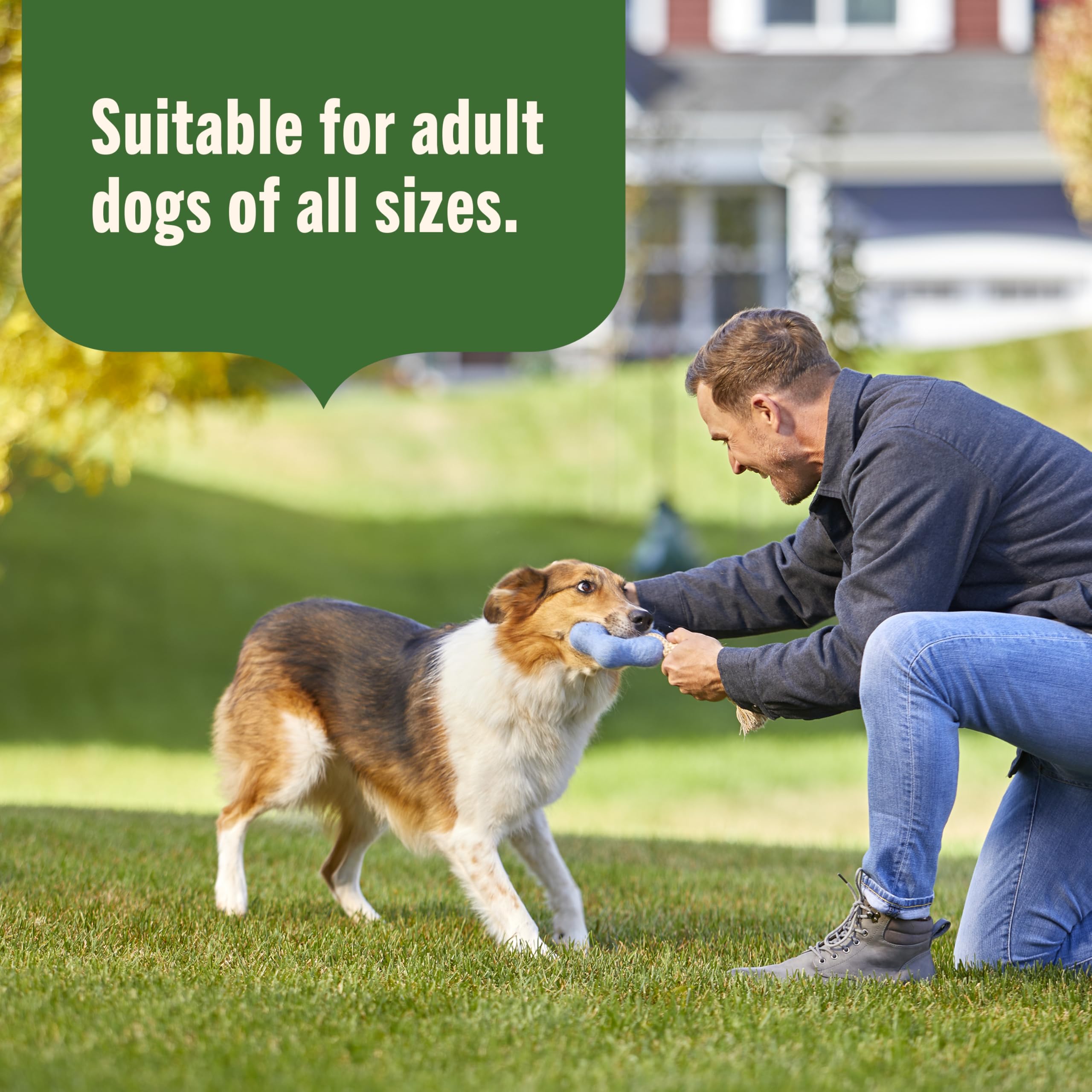 Nutrish formula excludes poultry by-product meal for clean protein sourcing.