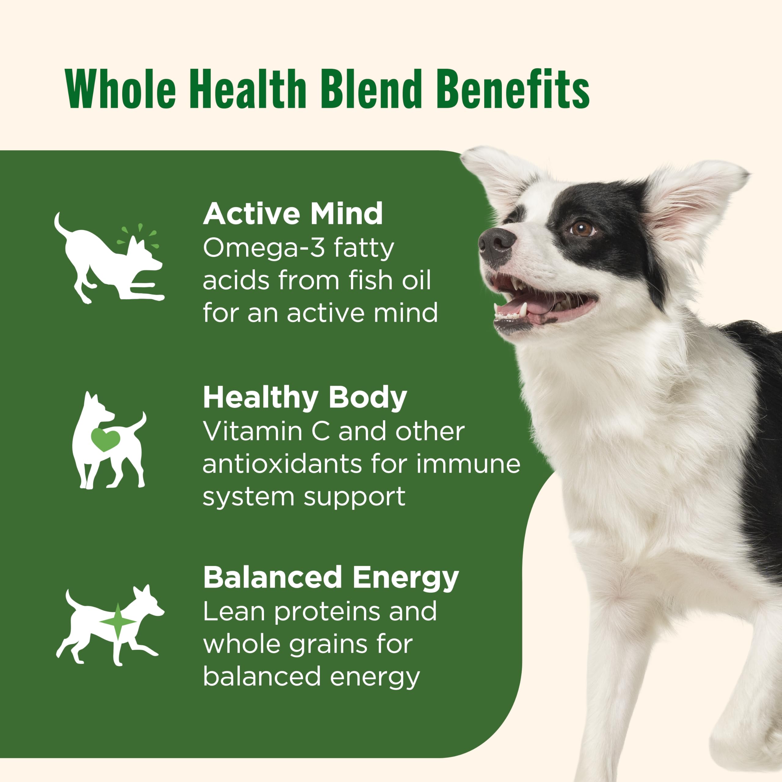 Nutrish Premium Paté emphasizes omega-3s for healthy skin and coat.