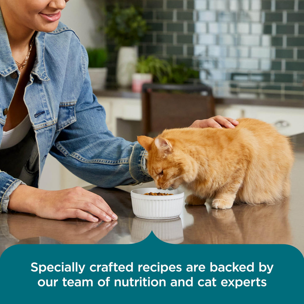 Nutrish Rachael Ray all life stages formula, complete daily nourishment