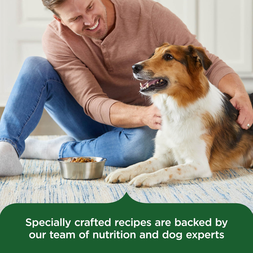 Nutrish Rachael Ray adult dog serving guide suggests portion ideas.