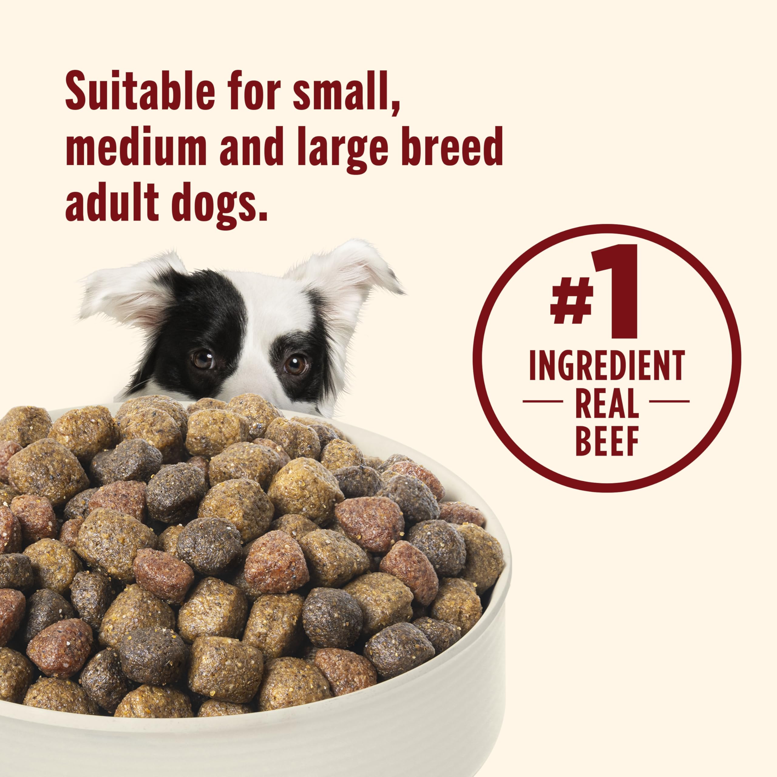 Nutrish real beef kibble poured into dog bowl