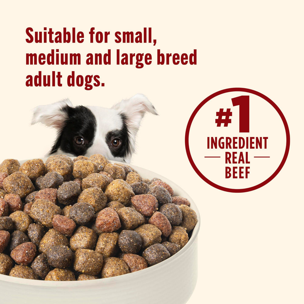 Nutrish real beef kibble poured into dog bowl