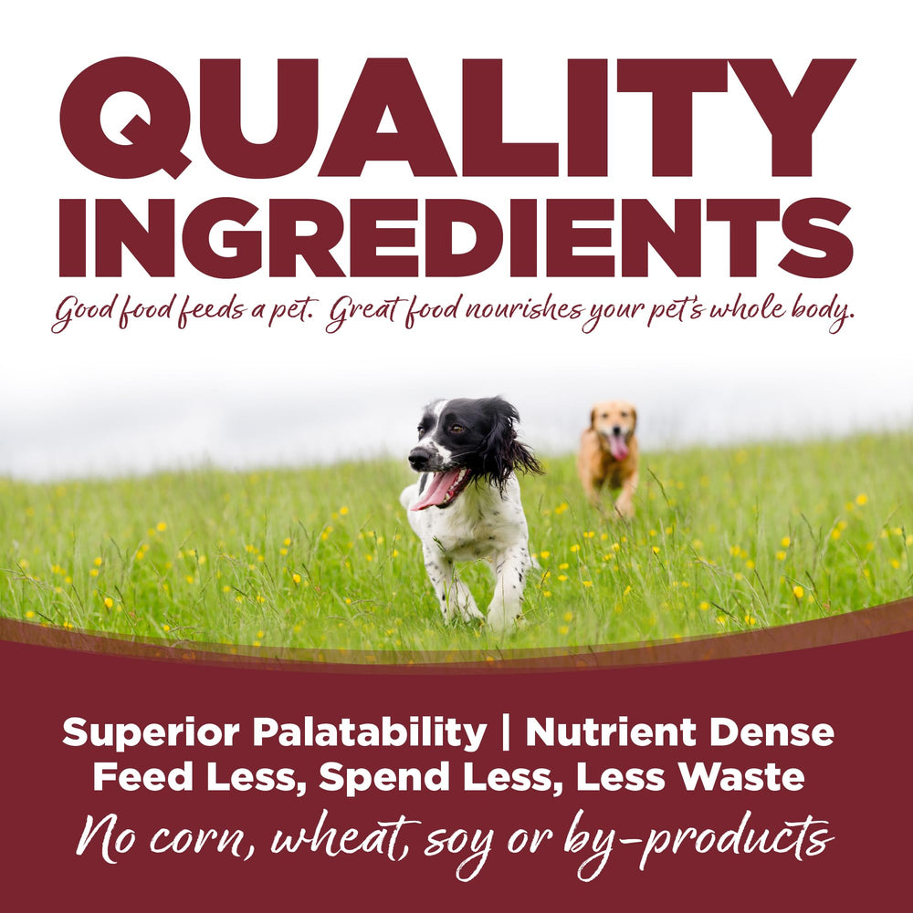 Nutrition panel on NutriSource beef and rice bag highlights refined protein mix.