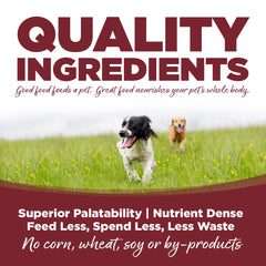 Nutrition panel on NutriSource beef and rice bag highlights refined protein mix.