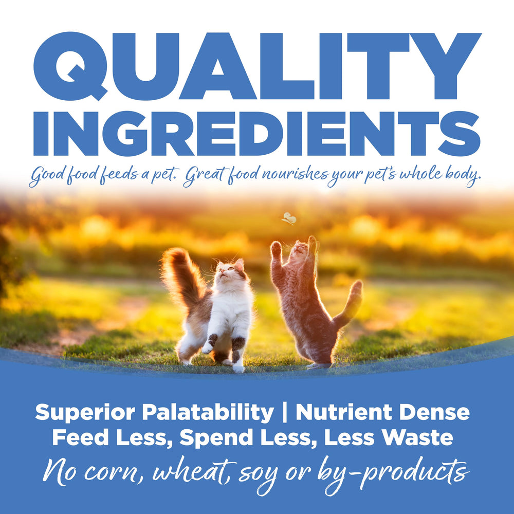 NutriSource Cat & Kitten Food ingredient preview highlighting chicken, salmon, and liver for flavor variety.