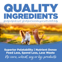 NutriSource Cat & Kitten Food ingredient preview highlighting chicken, salmon, and liver for flavor variety.