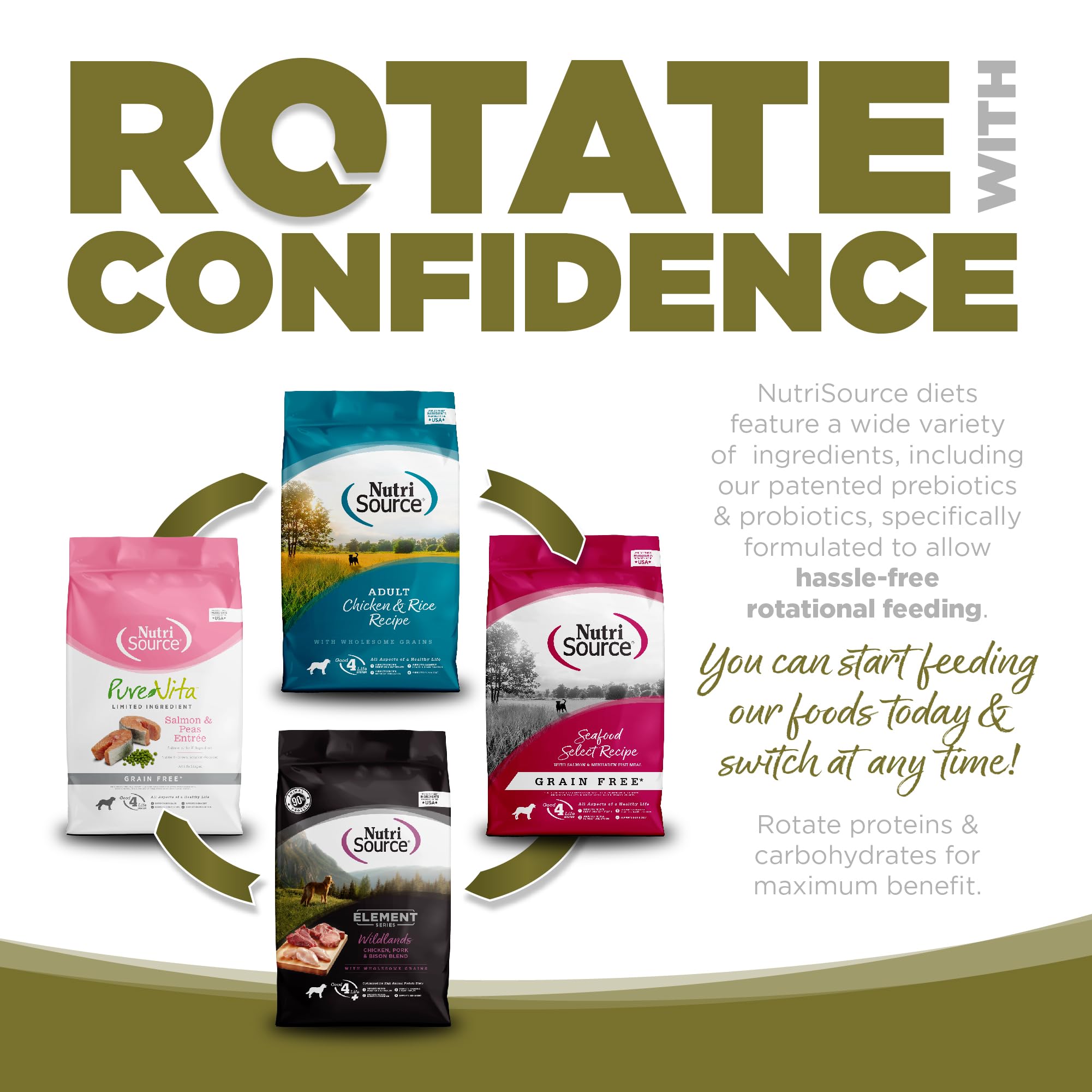 Close-up of ingredients showing prebiotics and probiotics for gut support
