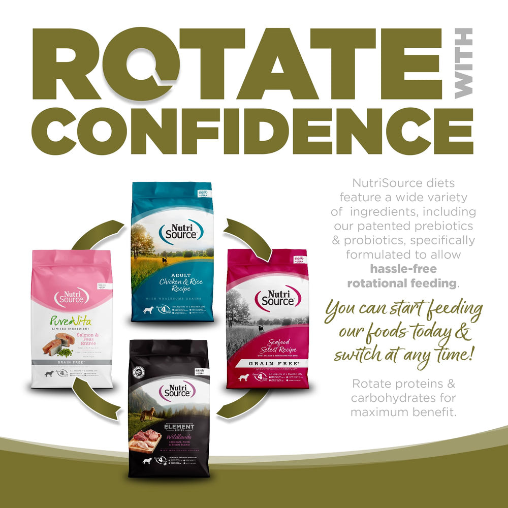 Close-up of ingredients showing prebiotics and probiotics for gut support