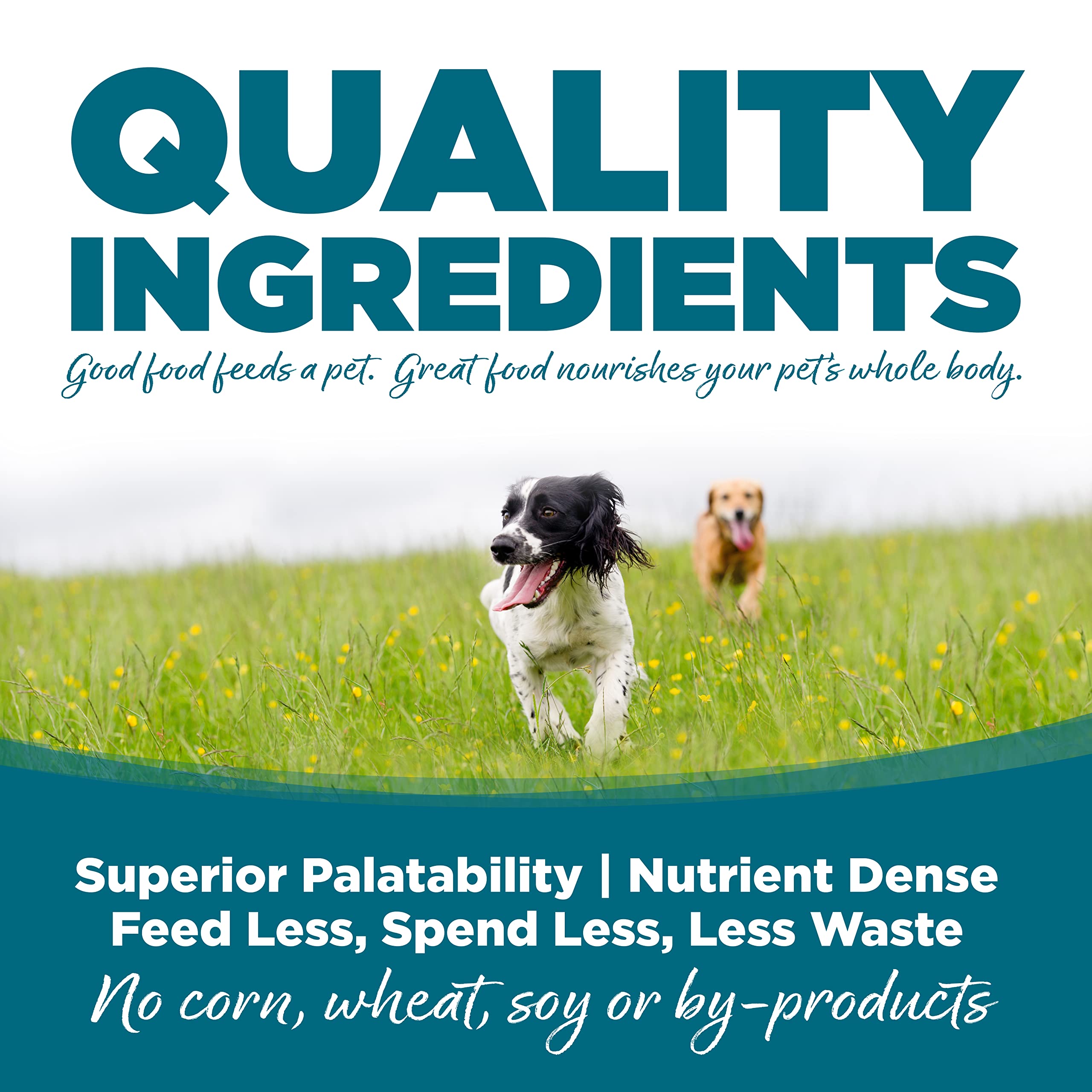 NutriSource ingredients page emphasizes prebiotics and probiotics for gut health