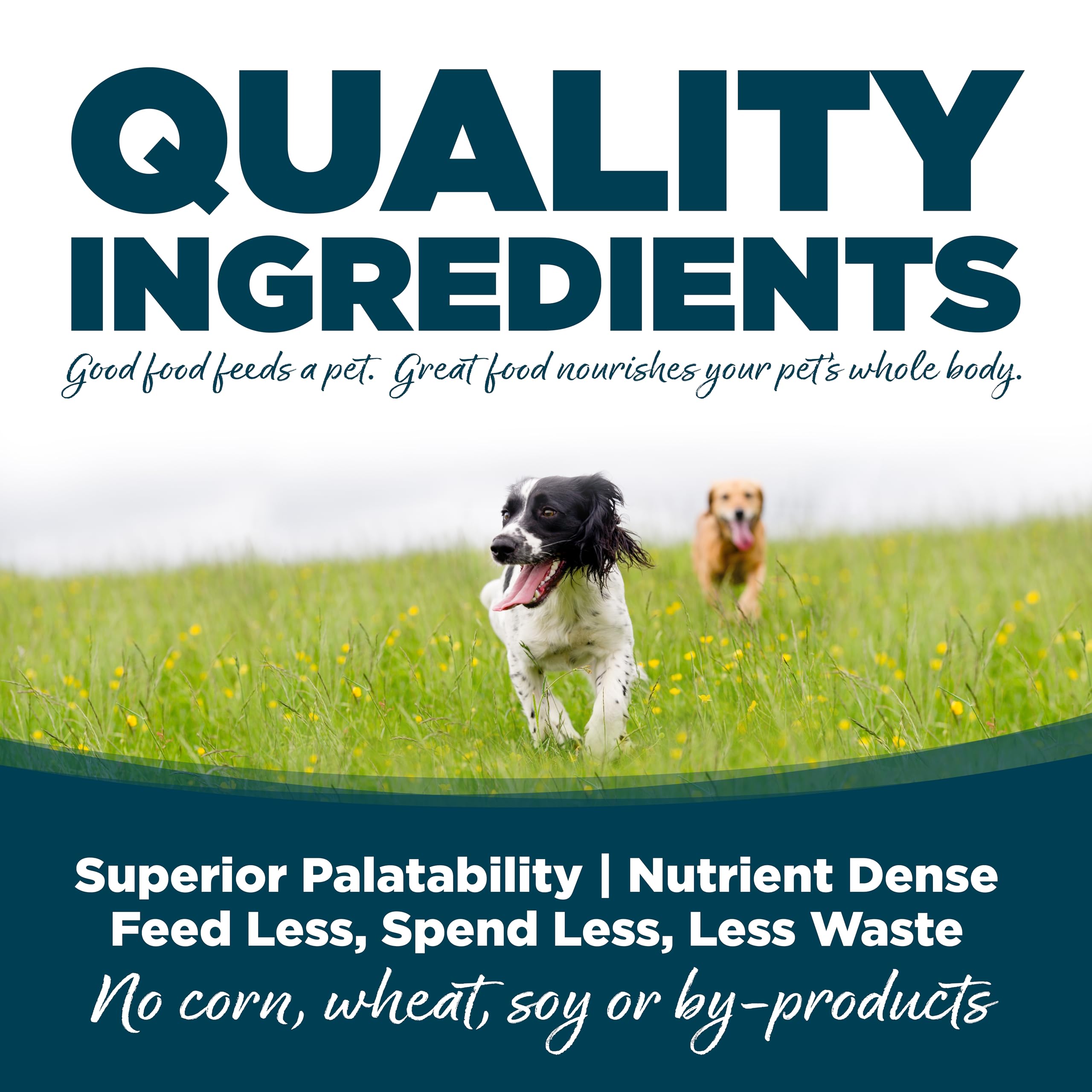 NutriSource chicken and rice ingredients panel highlights quality protein and grains