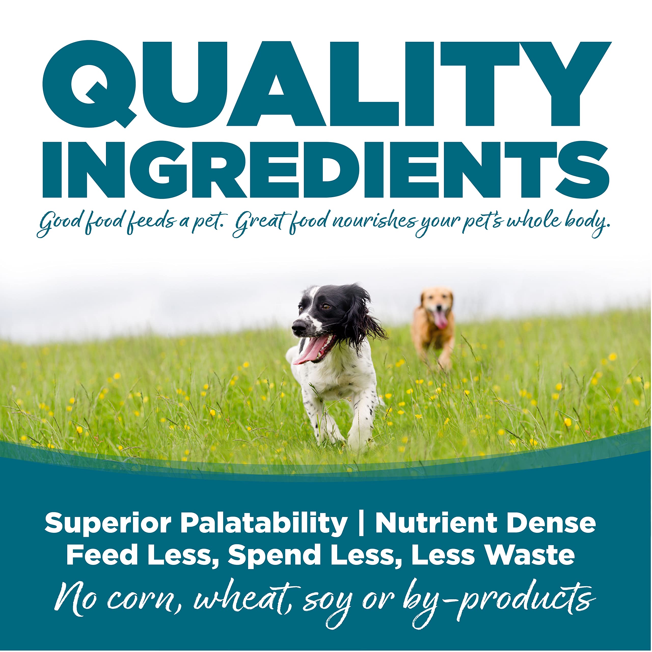 NutriSource dog kibble with visible ingredients and prebiotic-probiotic blend