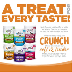 NutriSource dog snack serving-time scene, convenient reward after play.