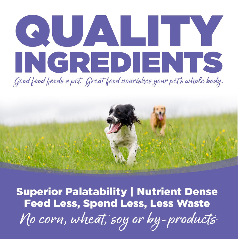 NutriSource chicken-meal-rice ingredients image, emphasizing protein and grain base for balanced nutrition.