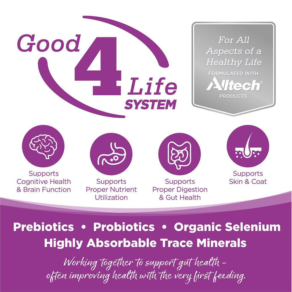NutriSource Puppy Large Breed bag back highlights balanced nutrition for gut health.