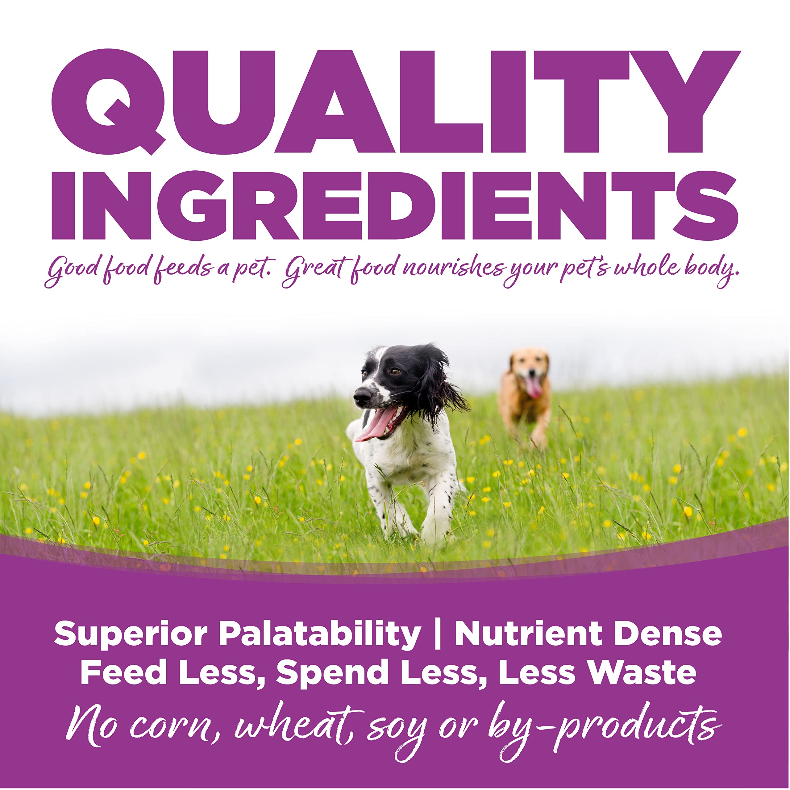 NutriSource Puppy Large Breed kibble closeup showing bite-sized pieces for easy chewing.