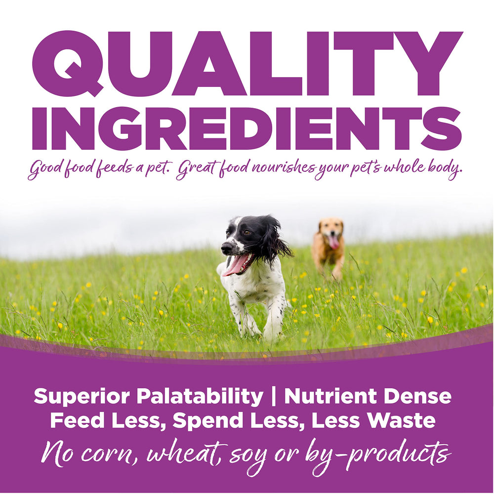NutriSource Puppy Large Breed kibble closeup showing bite-sized pieces for easy chewing.
