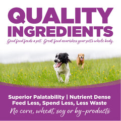 NutriSource Puppy Large Breed kibble closeup showing bite-sized pieces for easy chewing.