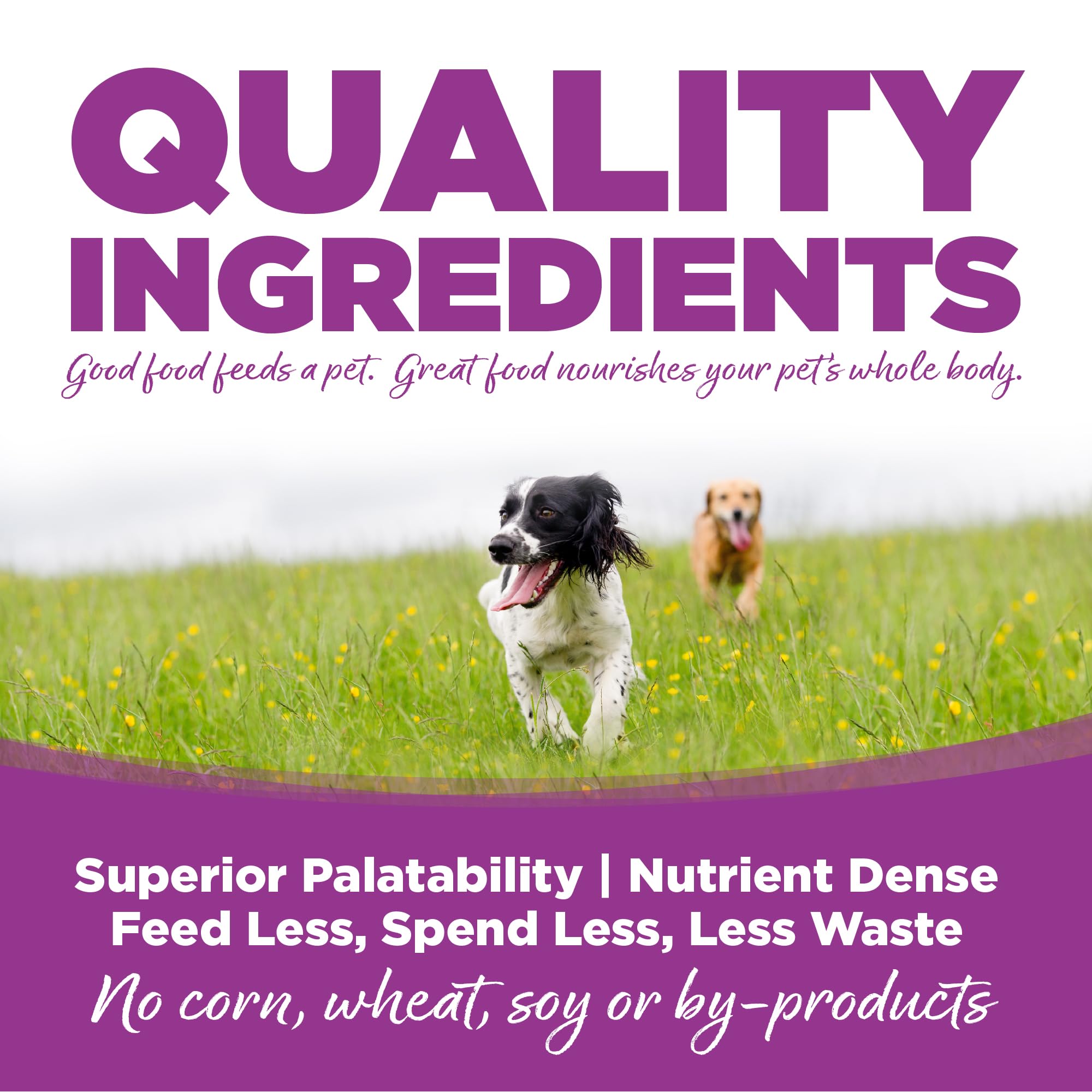 NutriSource ingredient panel emphasizes grain-inclusive formula with prebiotics and probiotics.