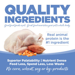 NutriSource Pure Vita dog bowl serving with wholesome kibble texture.