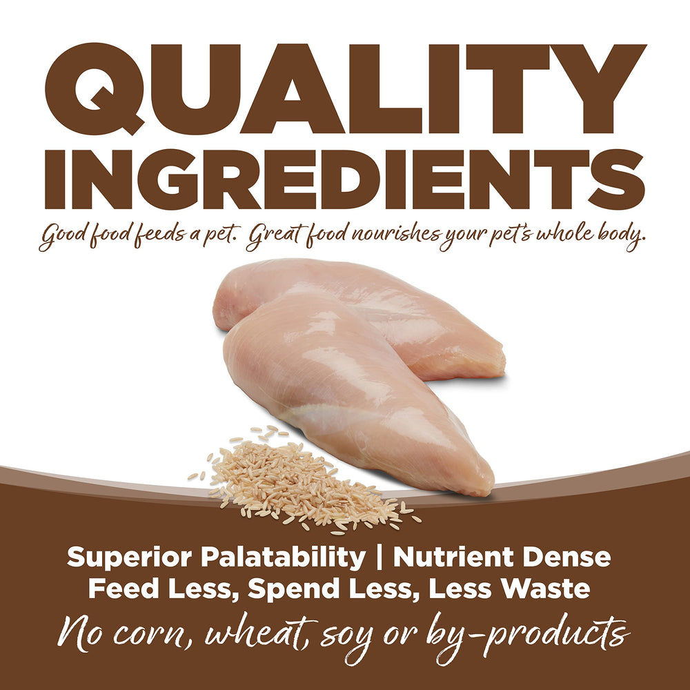 NutriSource Pure Vita feeding bowl with dry dog food ready for mealtime.