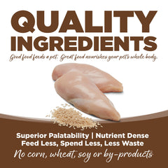 NutriSource Pure Vita feeding bowl with dry dog food ready for mealtime.