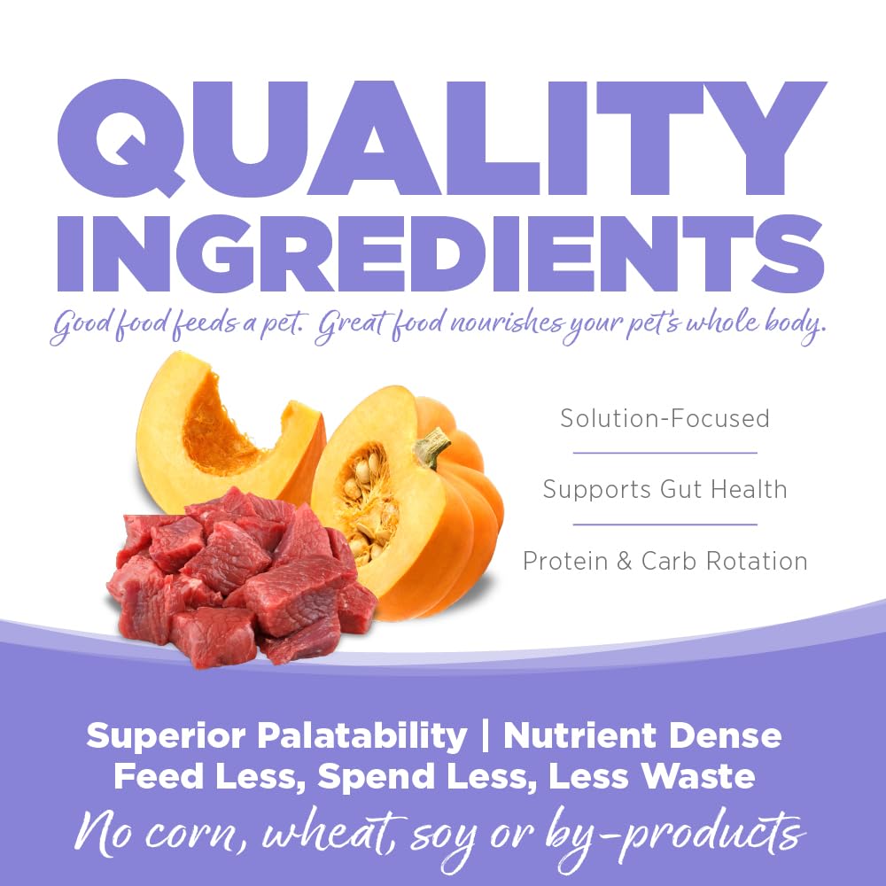 Visual of ingredients and recipe concept for NutriSource Pure Vita Lamb & Pumpkin.