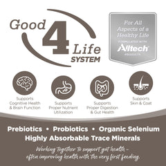 NutriSource senior kibble close-up highlighting grain-inclusive nutrition for seniors.