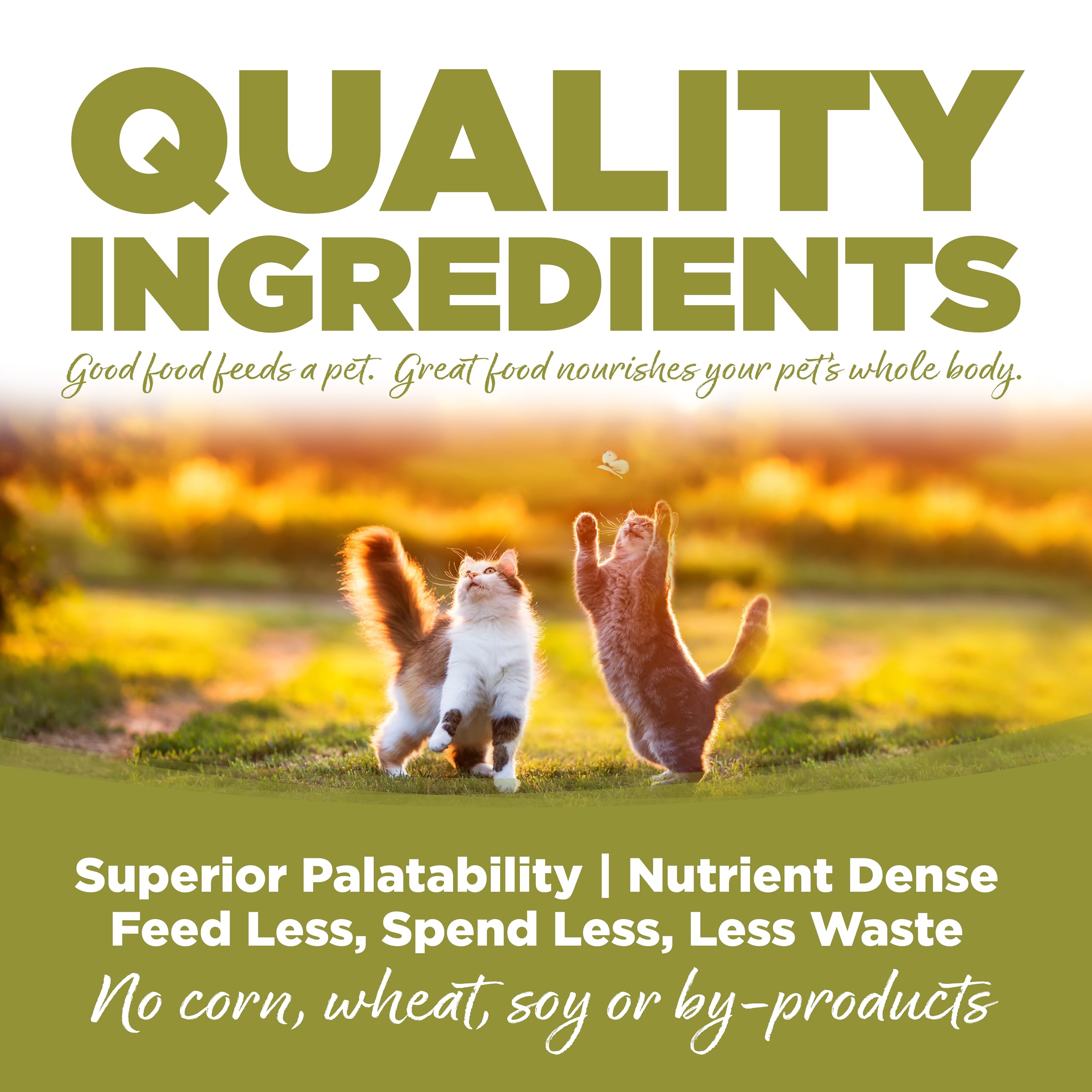 NutriSource cat food packaging on shelf highlighting 12lb bag
