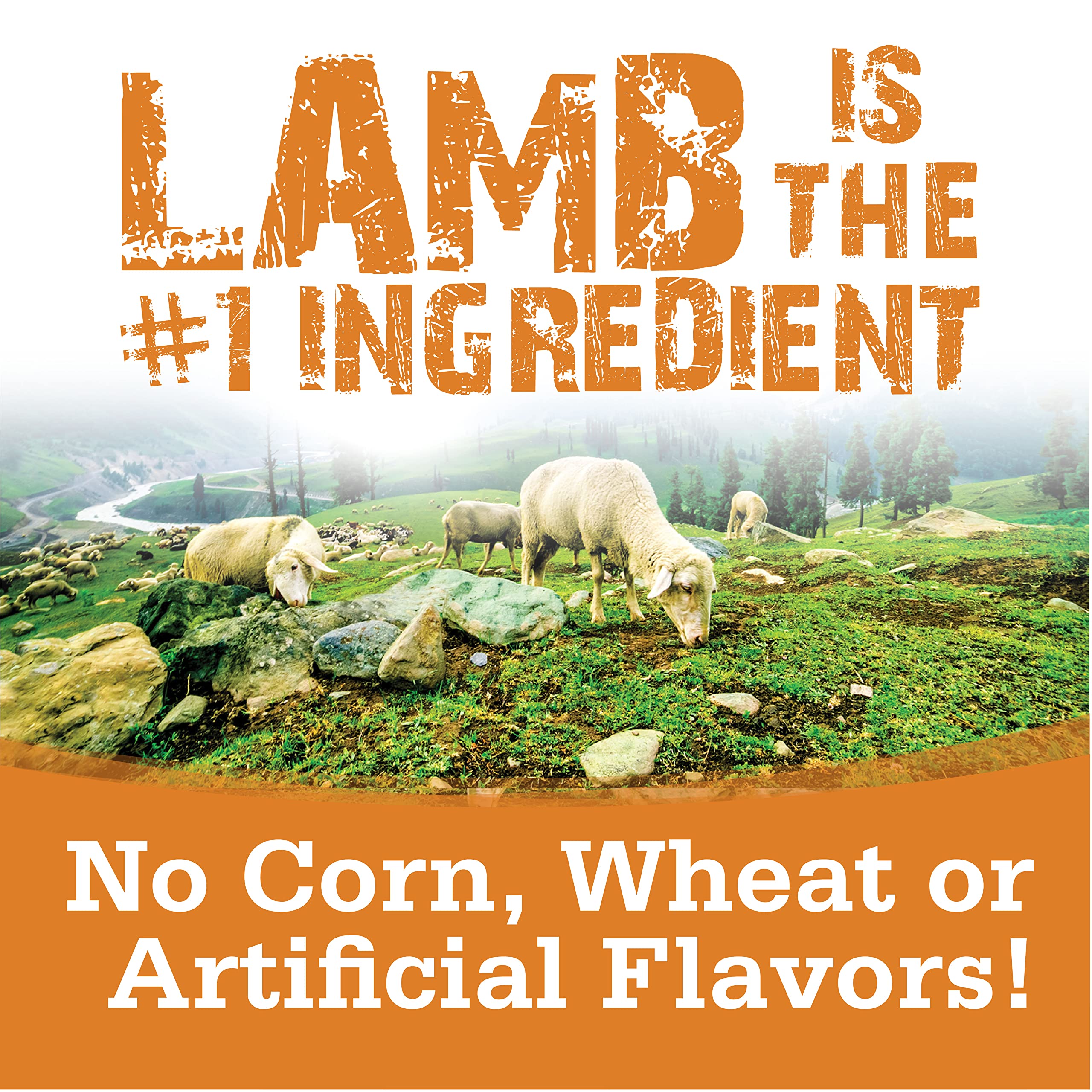 NutriSource healthy-lamb-treats ingredients panel detail, highlighting natural elements.