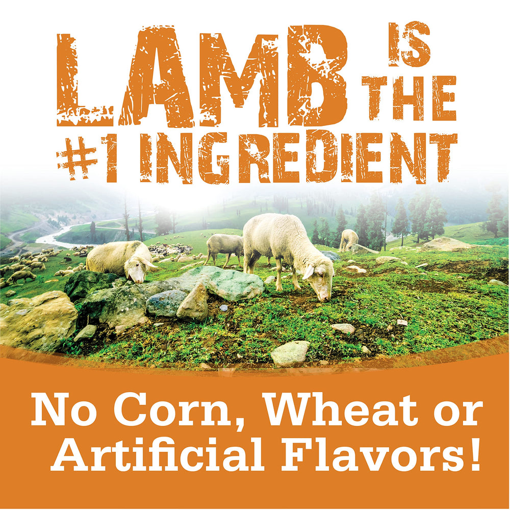 NutriSource healthy-lamb-treats ingredients panel detail, highlighting natural elements.