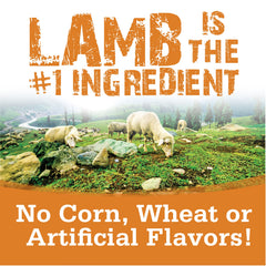 NutriSource healthy-lamb-treats ingredients panel detail, highlighting natural elements.