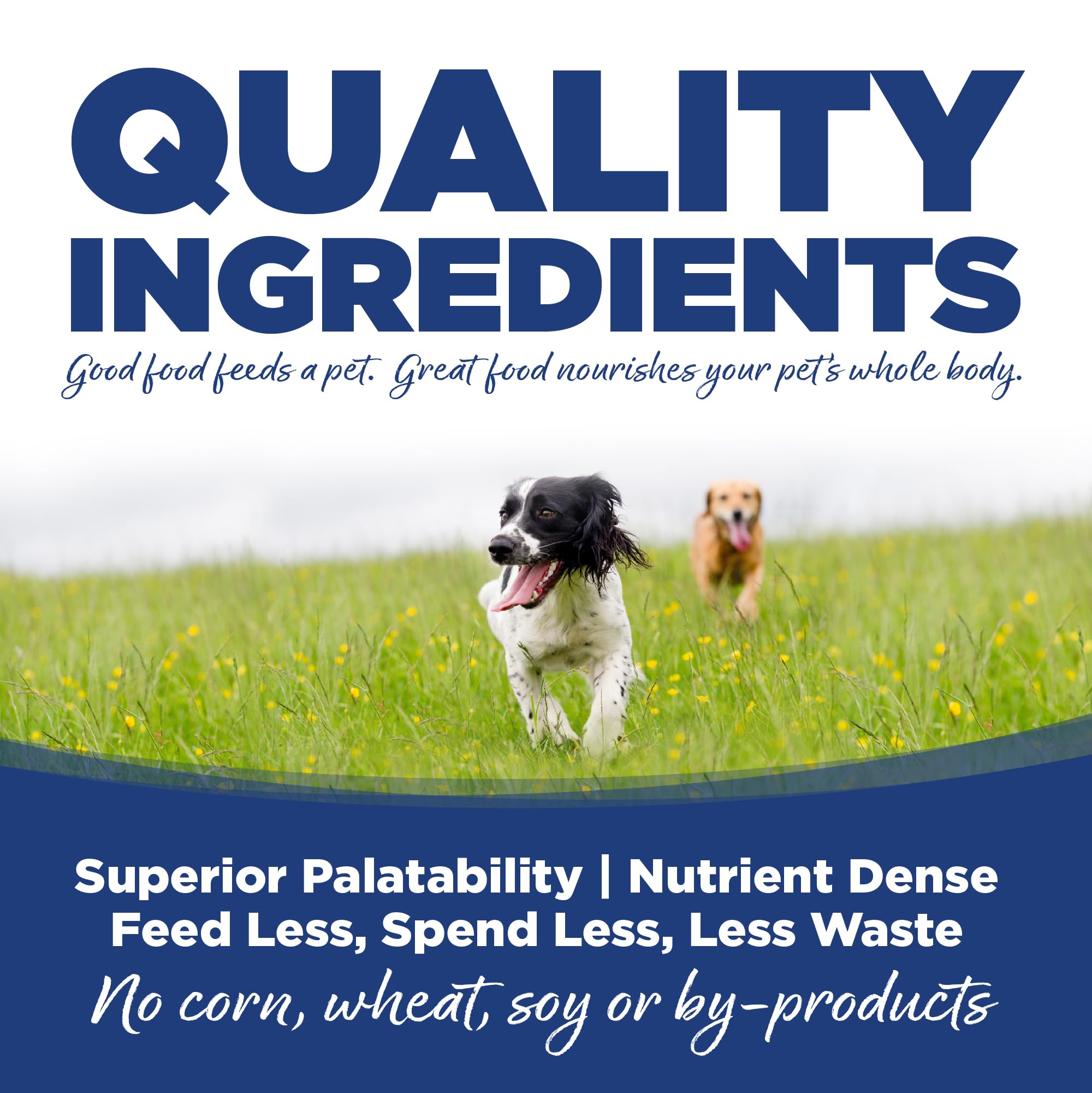 NutriSource Trout and Rice bag label highlighting grain-inclusive formula