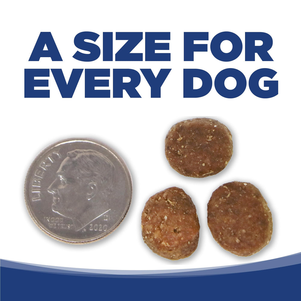 NutriSource Trout and Rice kibble during mealtime for easy feeding