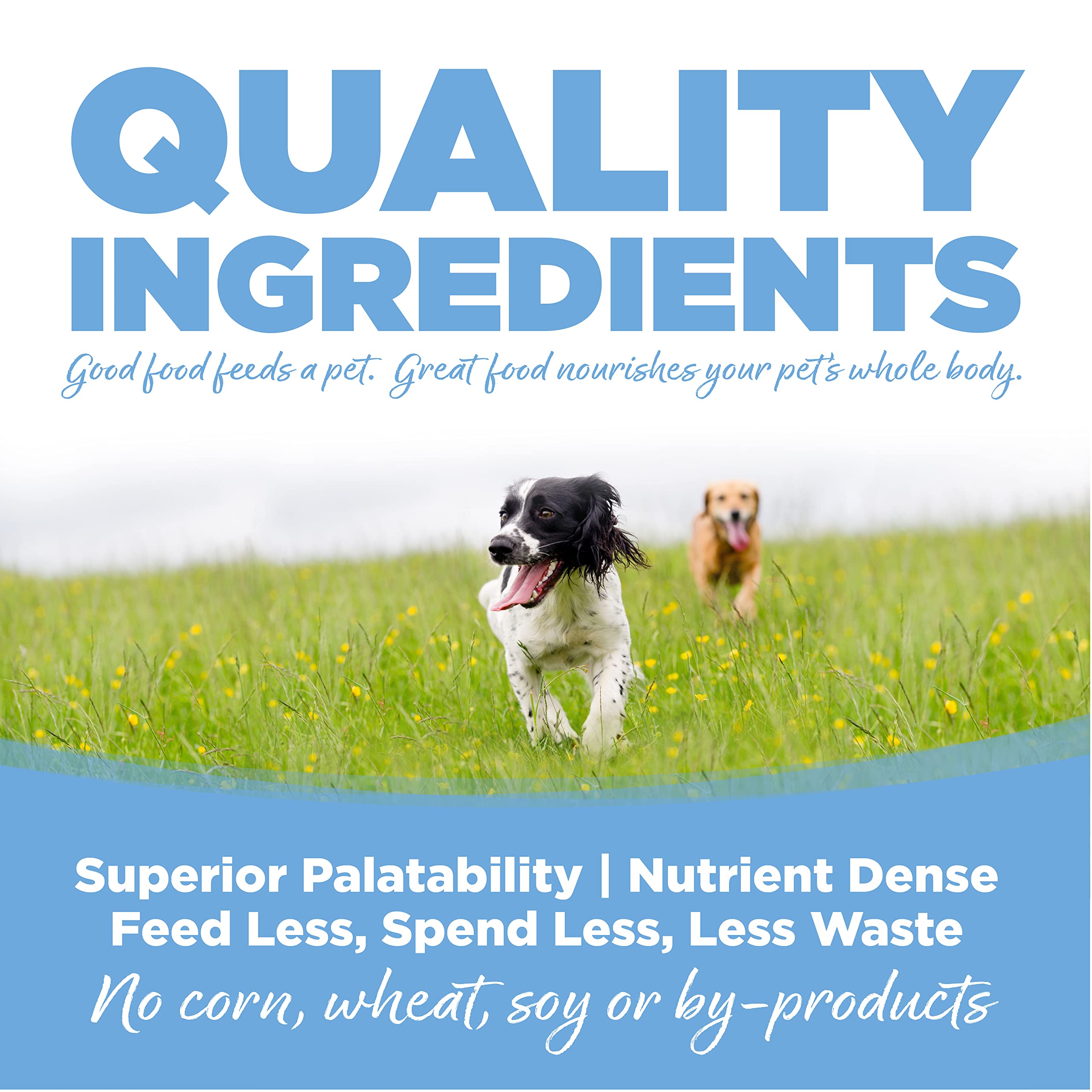 NutriSource Trout and Rice kibble close-up emphasizing grain-inclusive formula and omega support