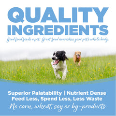NutriSource Trout and Rice kibble close-up emphasizing grain-inclusive formula and omega support