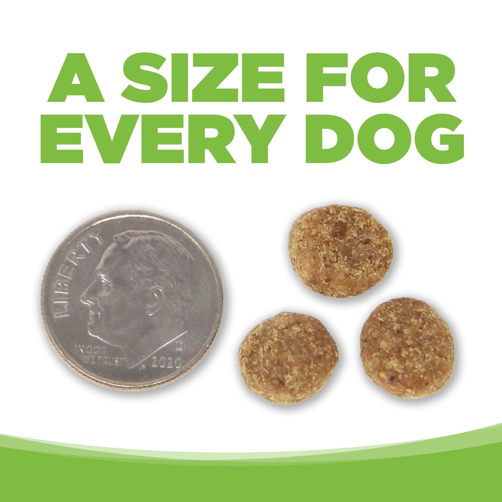 NutriSource kibble texture close-up highlights crisp, appealing bites.