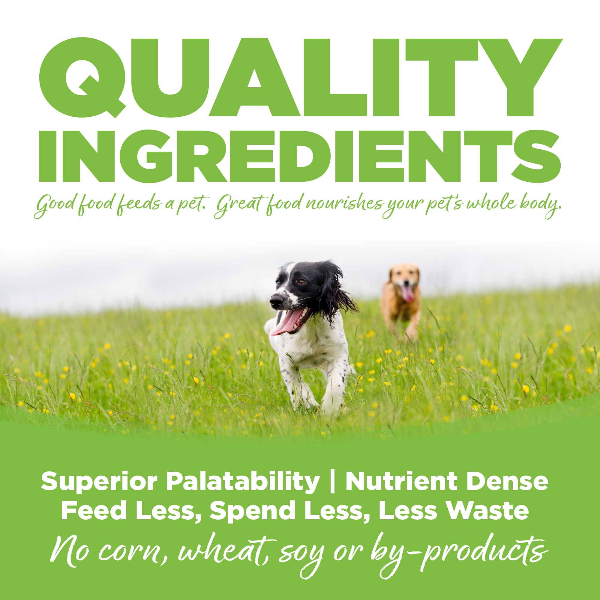 NutriSource formula includes L-Carnitine and taurine for heart-healthy nutrition.