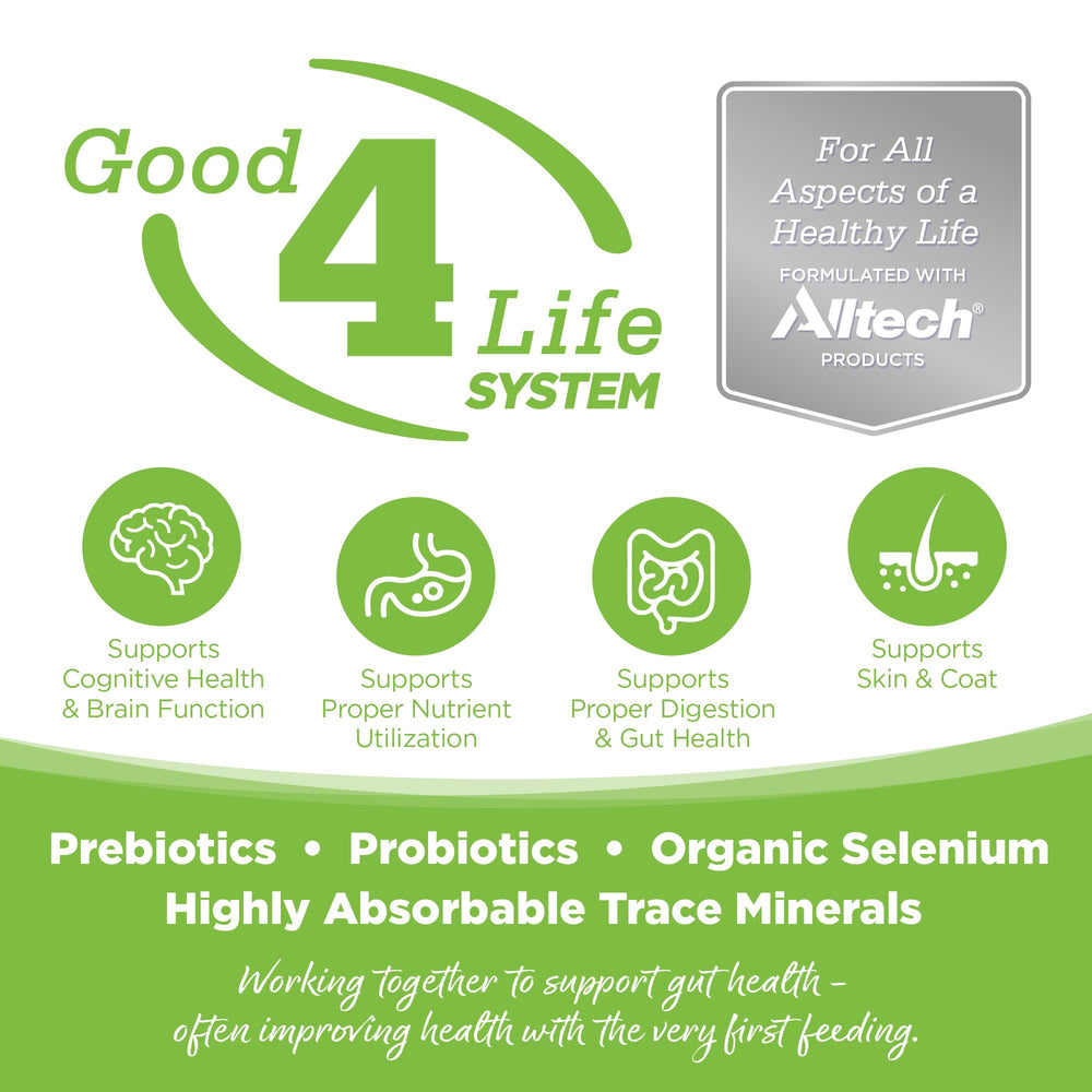 NutriSource prebiotics and probiotics support gut-friendly nutrition in dogs.