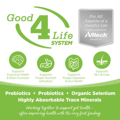 NutriSource prebiotics and probiotics support gut-friendly nutrition in dogs.