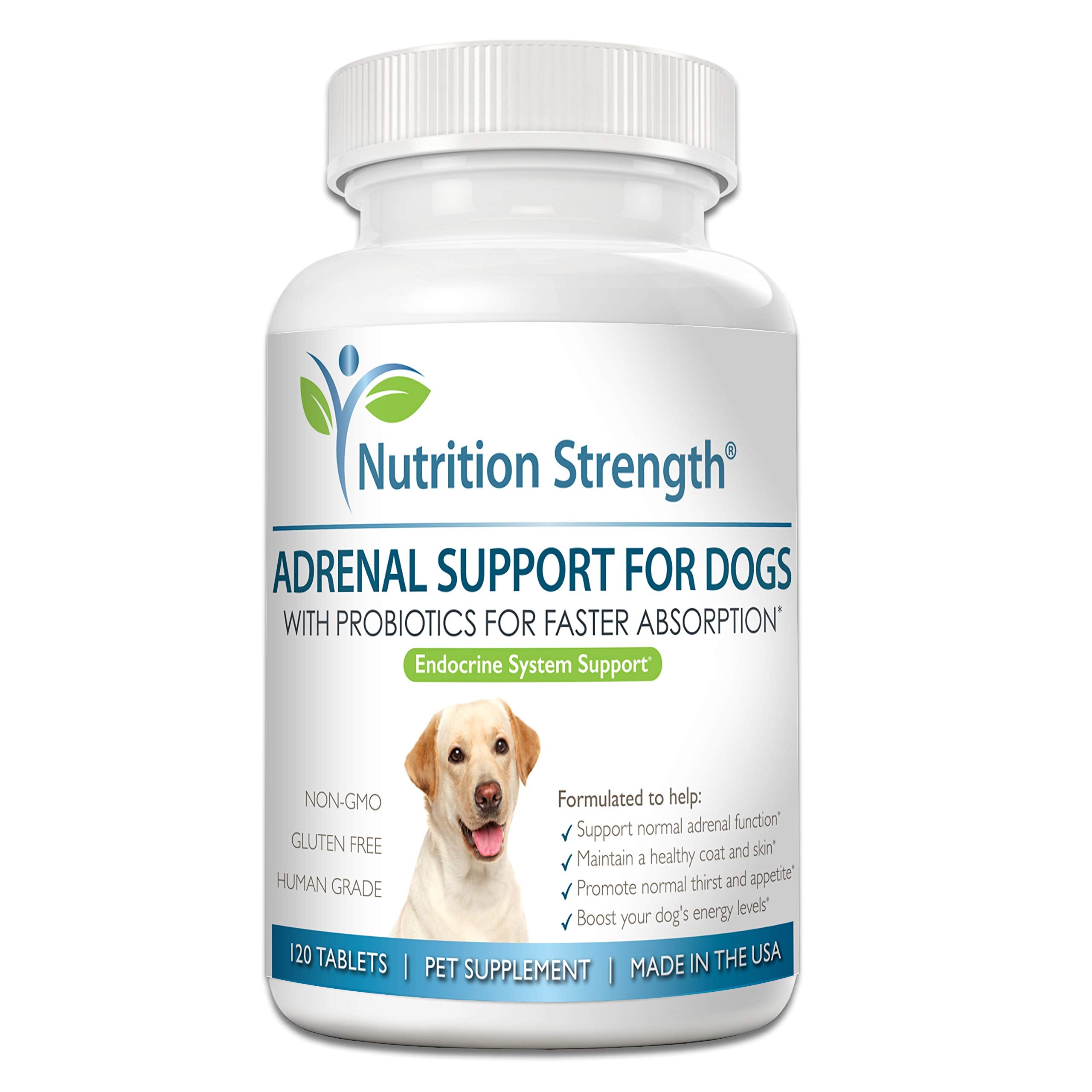 Nutrition Strength Adrenal Support for Dogs bottle with easy-to-administer chews for daily support.