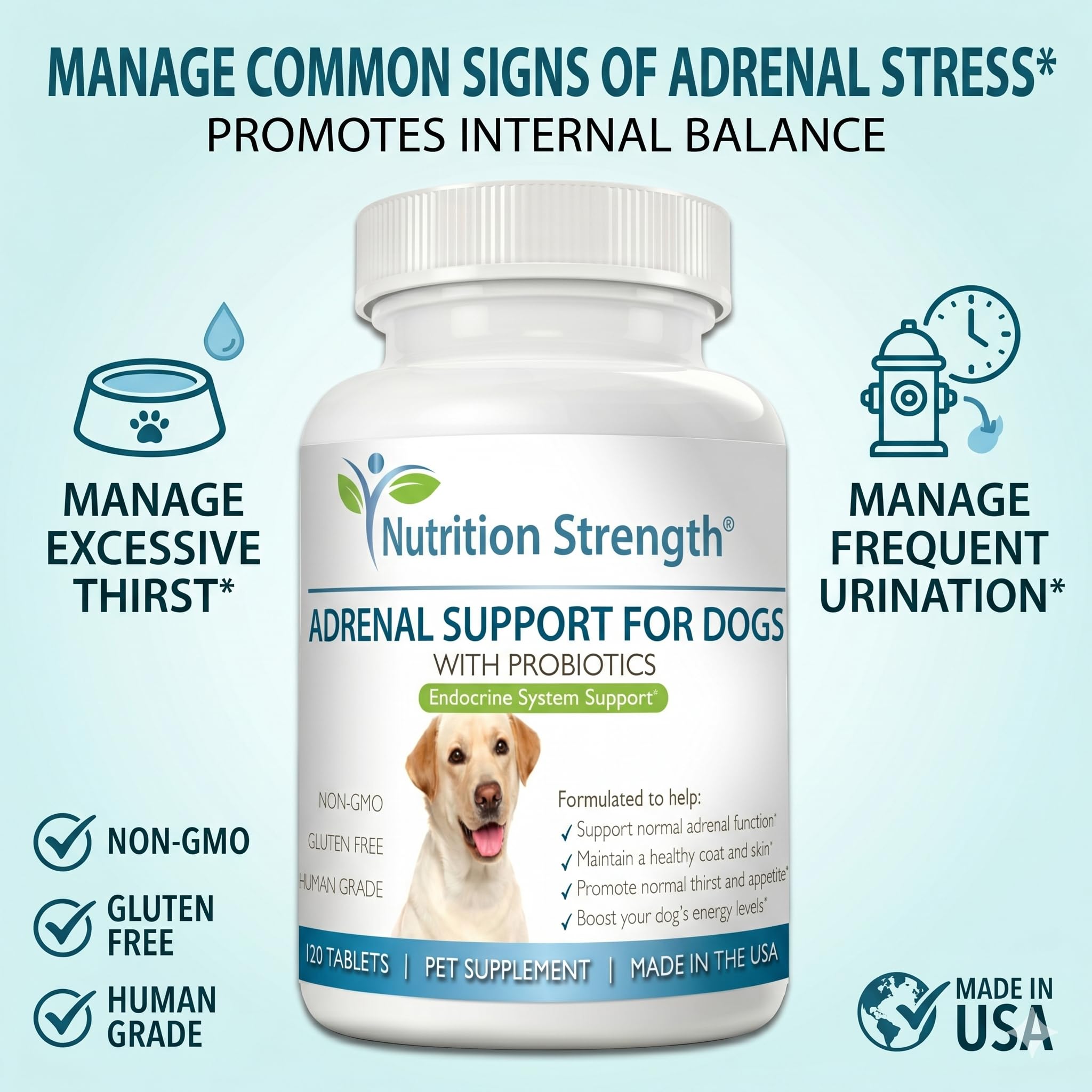 Nutrition Strength Adrenal Support for Dogs chews closeup reveals tasty texture dogs love during daily use.